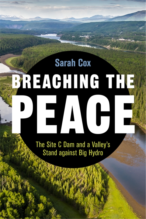 Cover image for book Breaching the Peace