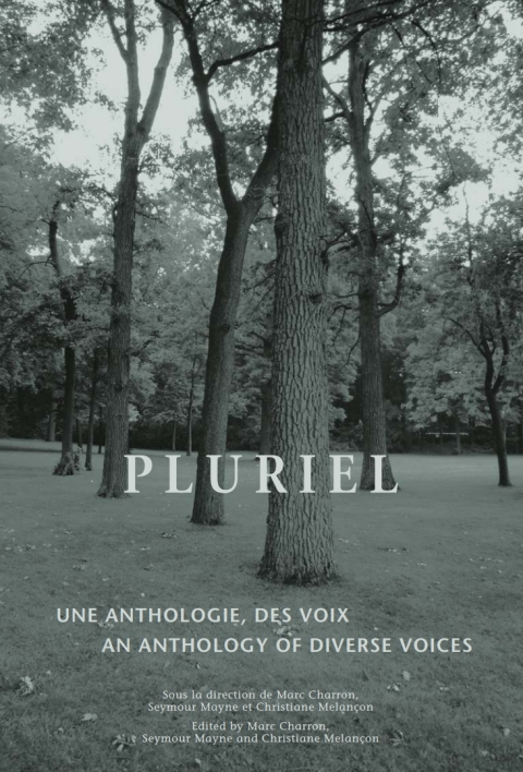 Cover image for book Pluriel