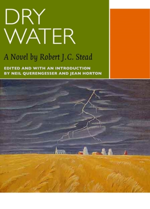 Cover image for book Dry Water
