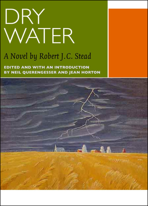 Cover image for book Dry Water