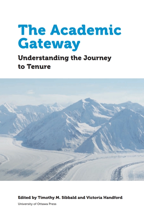 Cover image for book The Academic Gateway