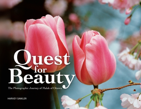 Cover image for book Quest for Beauty