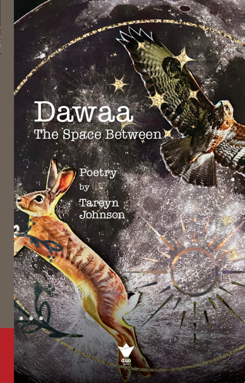 Cover image for book Dawaa