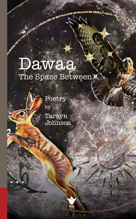 Cover image for book Dawaa