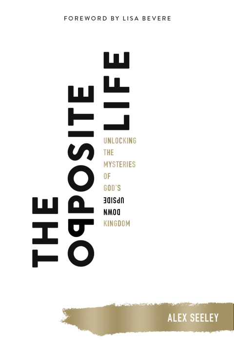 Cover image for book The Opposite Life
