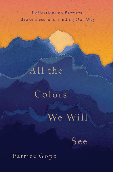 Cover image for book All the Colors We Will See
