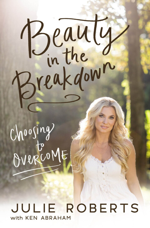 Cover image for book Beauty in the Breakdown