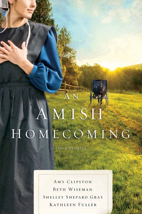 Cover image for book An Amish Homecoming