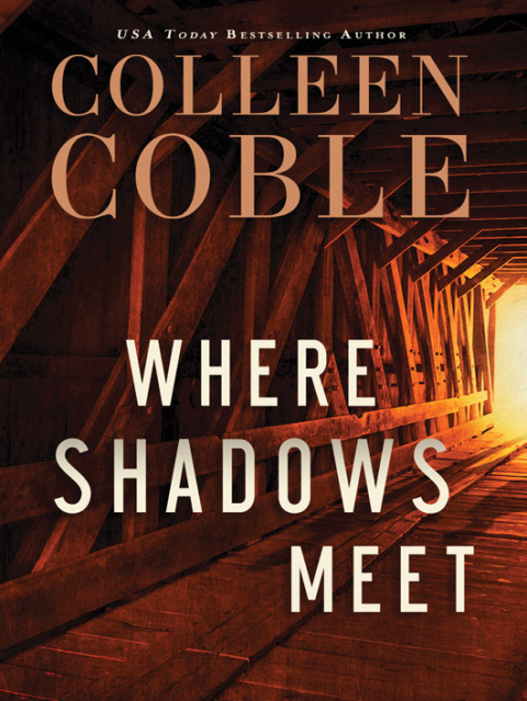 Cover image for book Where Shadows Meet