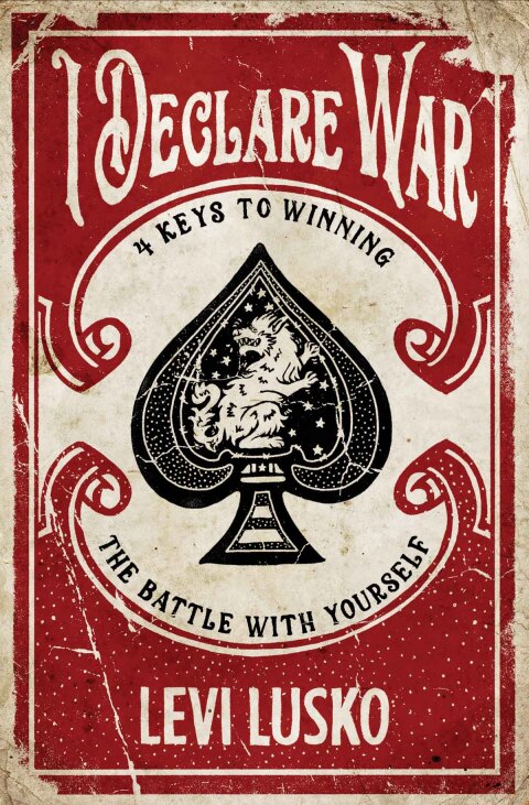 Cover image for book I Declare War