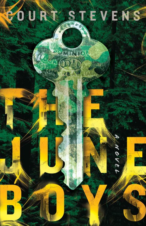 Cover image for book The June Boys