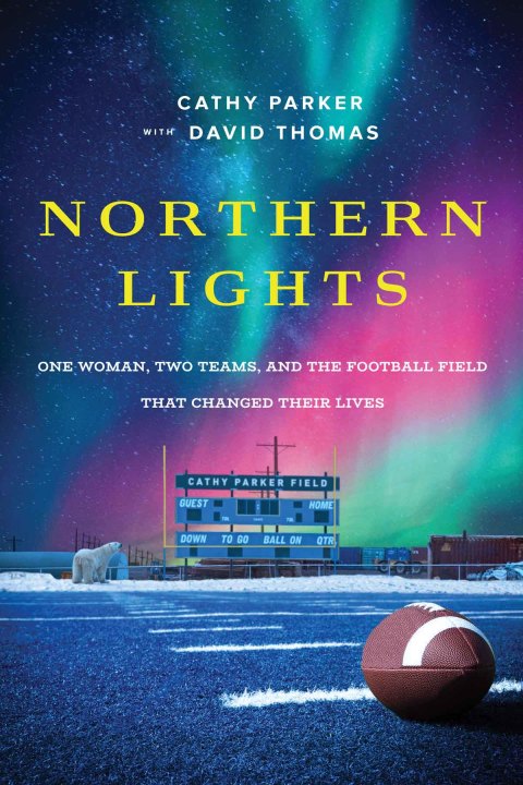 Cover image for book Northern Lights