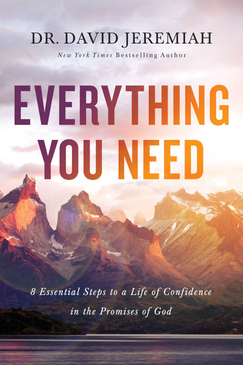 Cover image for book Everything You Need