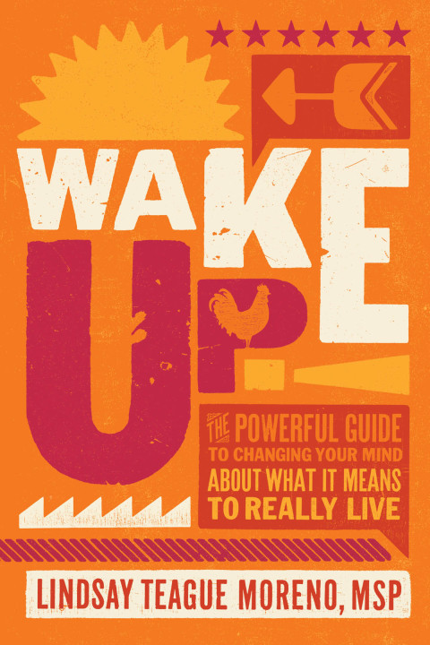 Cover image for book Wake Up!