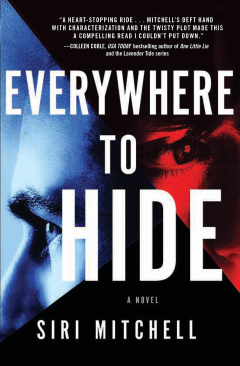 Cover image for book Everywhere to Hide