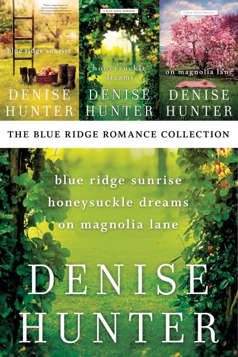 Cover image for book The Blue Ridge Romance Collection