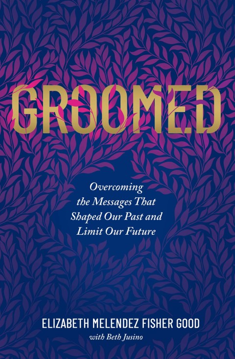 Cover image for book Groomed