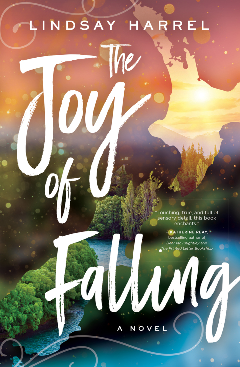 Cover image for book The Joy of Falling