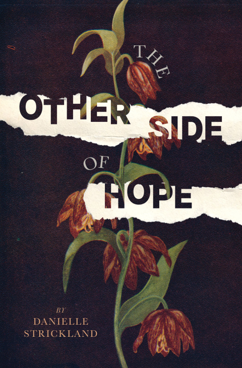 Cover image for book The Other Side of Hope