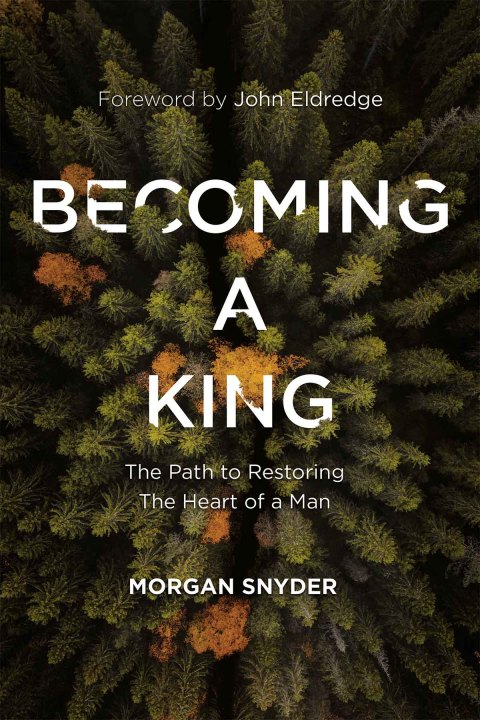 Cover image for book Becoming a King