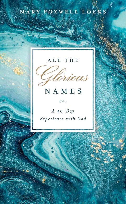 Cover image for book All the Glorious Names