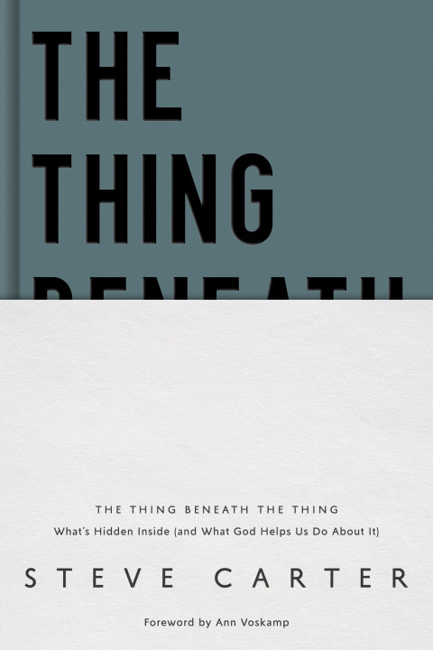 Cover image for book The Thing Beneath the Thing