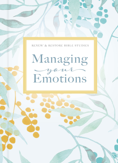 Cover image for book Managing Your Emotions