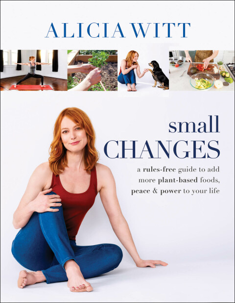 Cover image for book Small Changes
