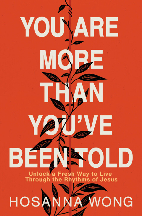 Cover image for book You Are More Than You've Been Told