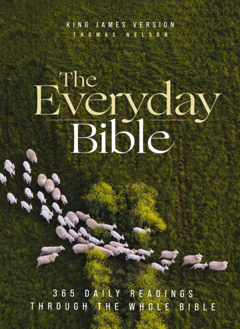 Cover image for book KJV, The Everyday Bible