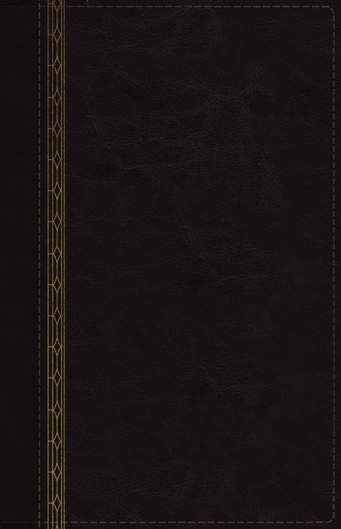 Cover image for book NRSVCE, Great Quotes Catholic Bible