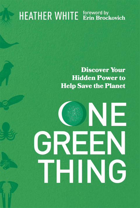 Cover image for book One Green Thing