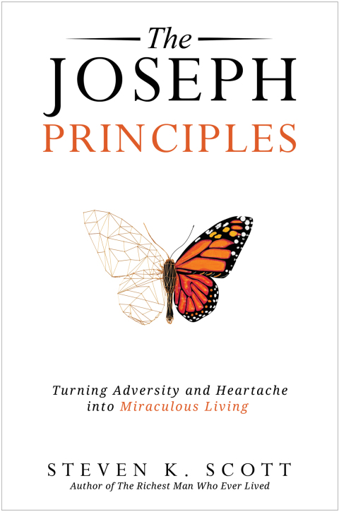 Cover image for book The Joseph Principles