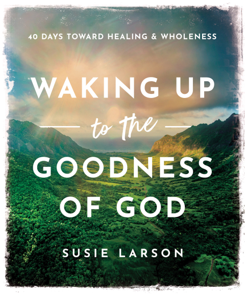 Cover image for book Waking Up to the Goodness of God
