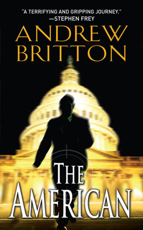 Cover image for book The American