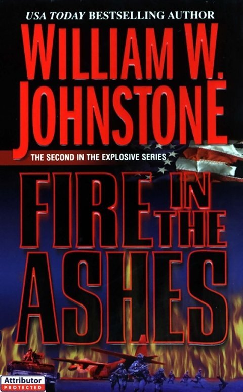 Cover image for book Fire in the Ashes