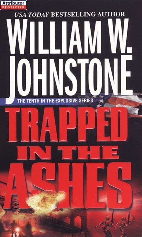 Cover image for book Trapped in the Ashes