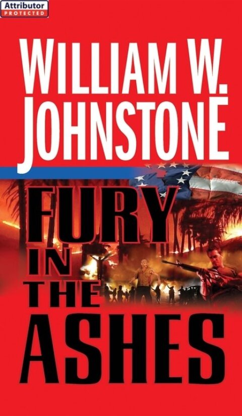 Cover image for book Fury in the Ashes