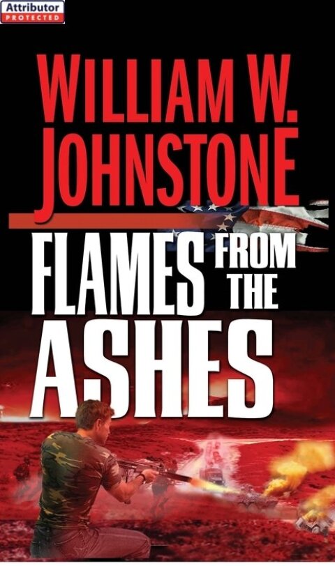 Cover image for book Flames from the Ashes