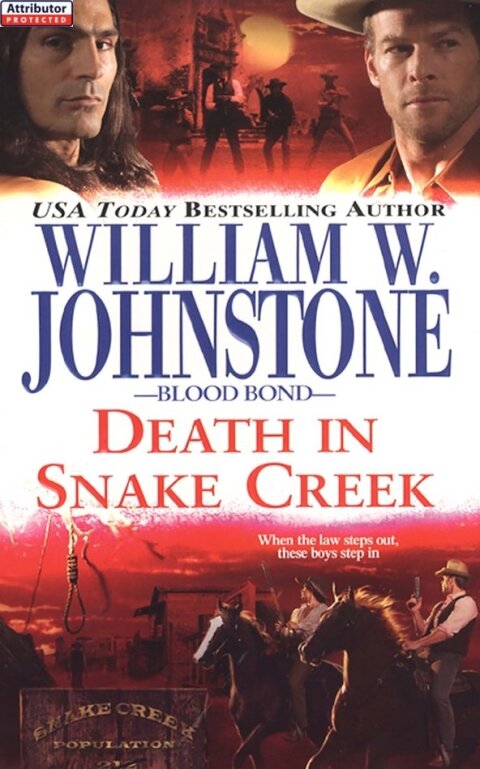 Cover image for book Death in Snake Creek
