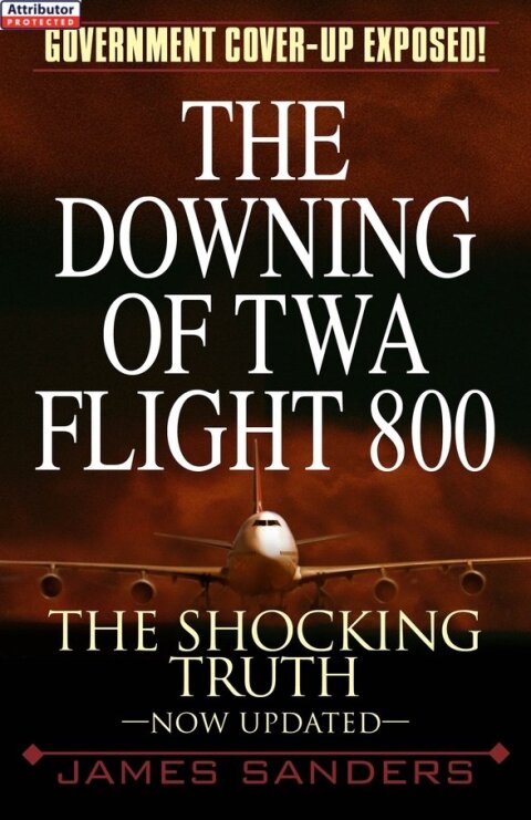 Cover image for book The Downing of TWA Flight 800