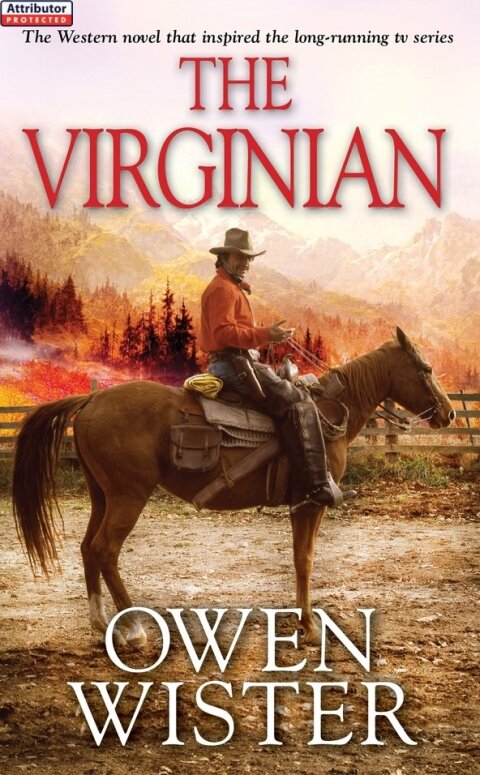Cover image for book The Virginian