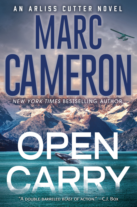 Cover image for book Open Carry
