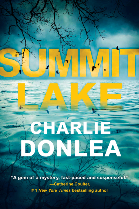 Cover image for book Summit Lake