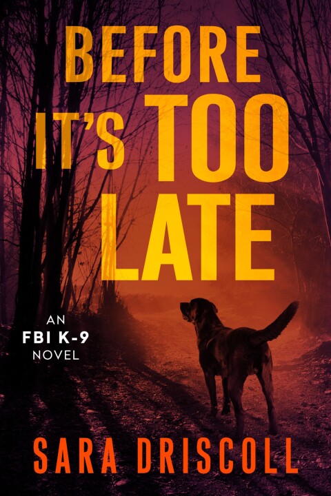 Cover image for book Before It's Too Late