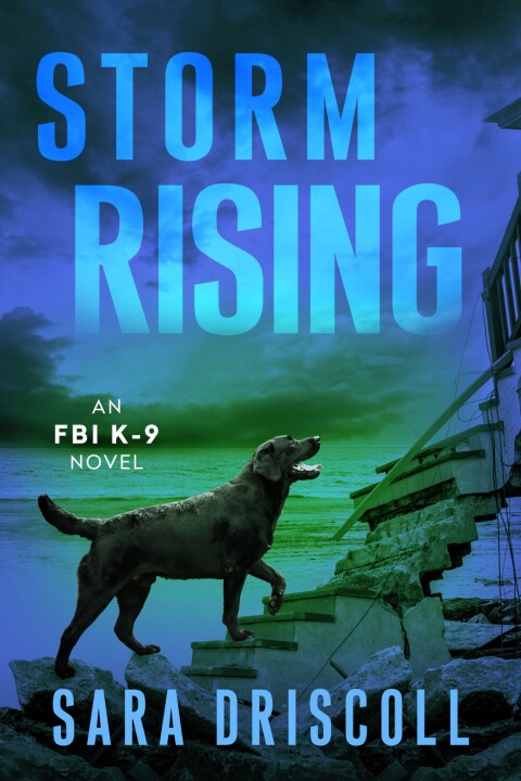 Cover image for book Storm Rising