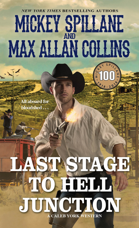Cover image for book Last Stage to Hell Junction