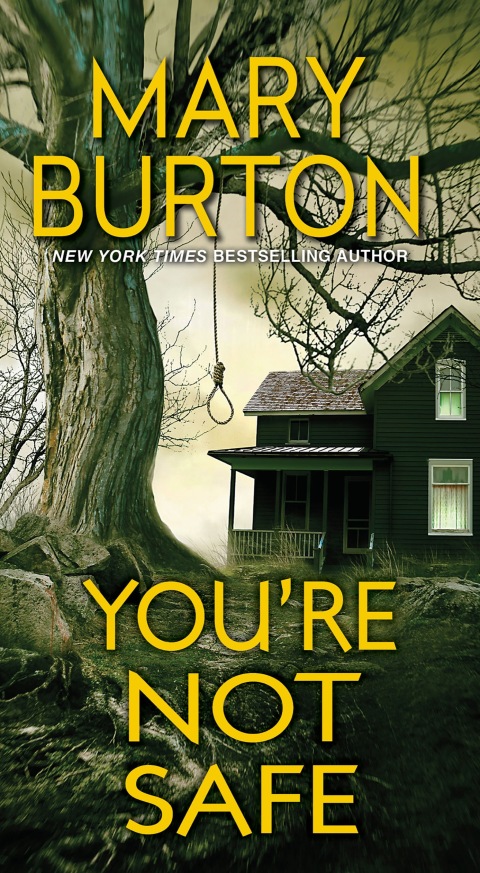 Cover image for book You're Not Safe