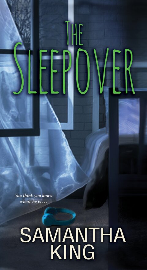 Cover image for book The Sleepover