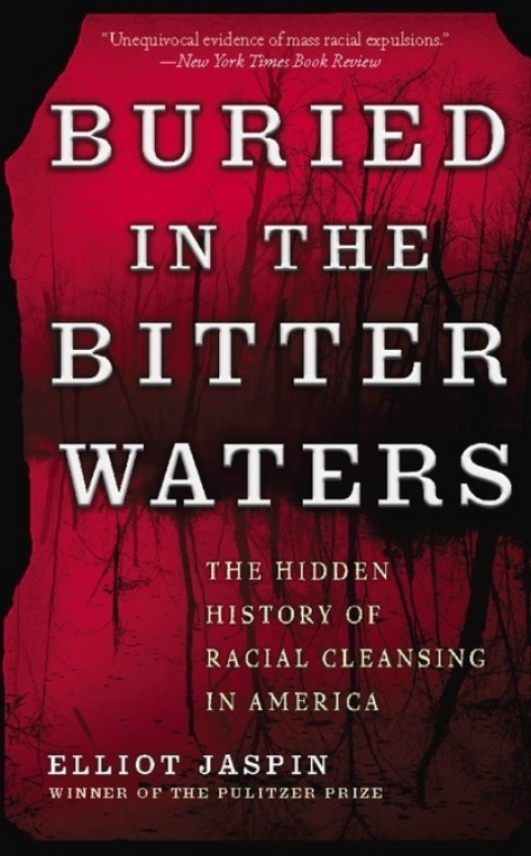 Cover image for book Buried in the Bitter Waters
